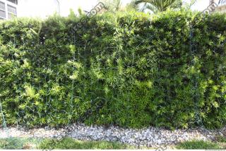 exotic hedge 0004